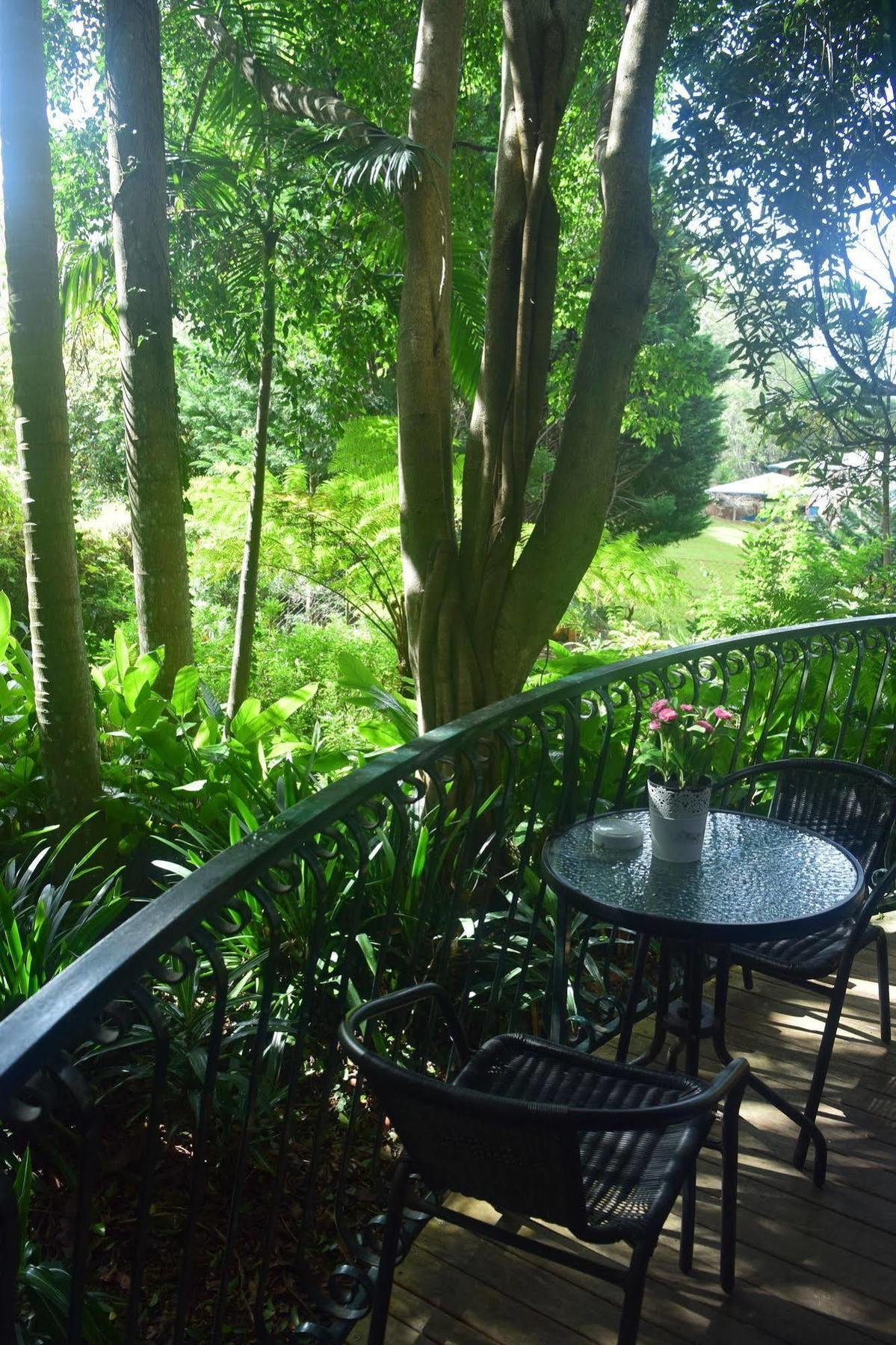Chalet On Gallery Walk - King Bed, Spa, Fireplace, Wifi & Netflix, Linger A While Mount Tamborine Dış mekan fotoğraf