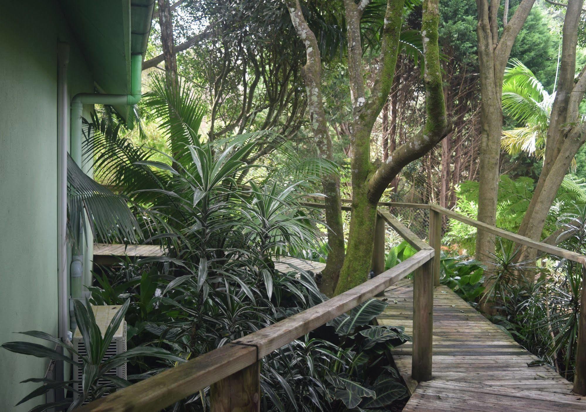 Chalet On Gallery Walk - King Bed, Spa, Fireplace, Wifi & Netflix, Linger A While Mount Tamborine Dış mekan fotoğraf